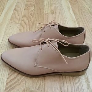 Everlane Modern Oxford